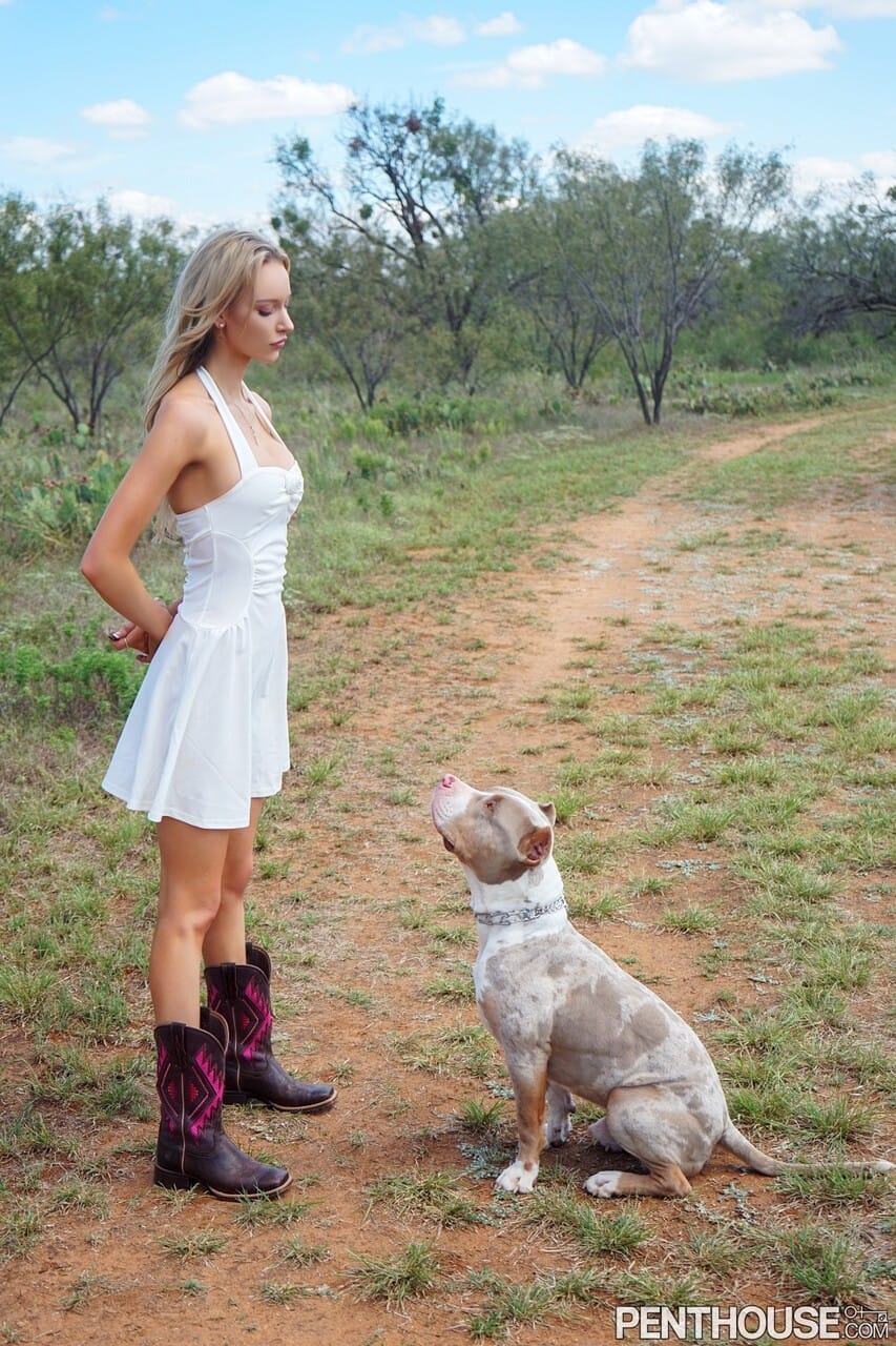 Penthouse Gold featuring Krystal Harper Hot Gallery, Krystal Harper - Perfect, Szabadban, Big Tits - 13. kép