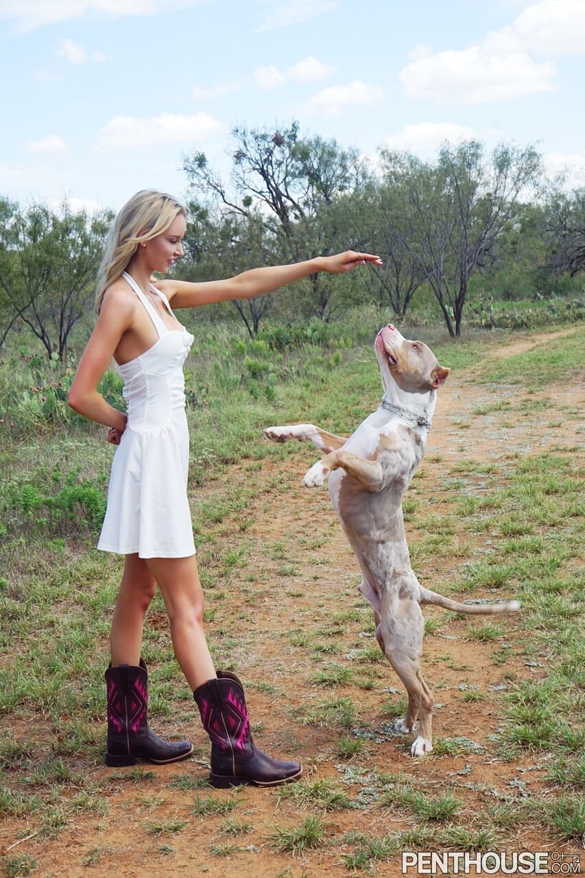 Penthouse Gold featuring Krystal Harper Hot Gallery, Krystal Harper - Perfect, Szabadban, Big Tits - 14. kép