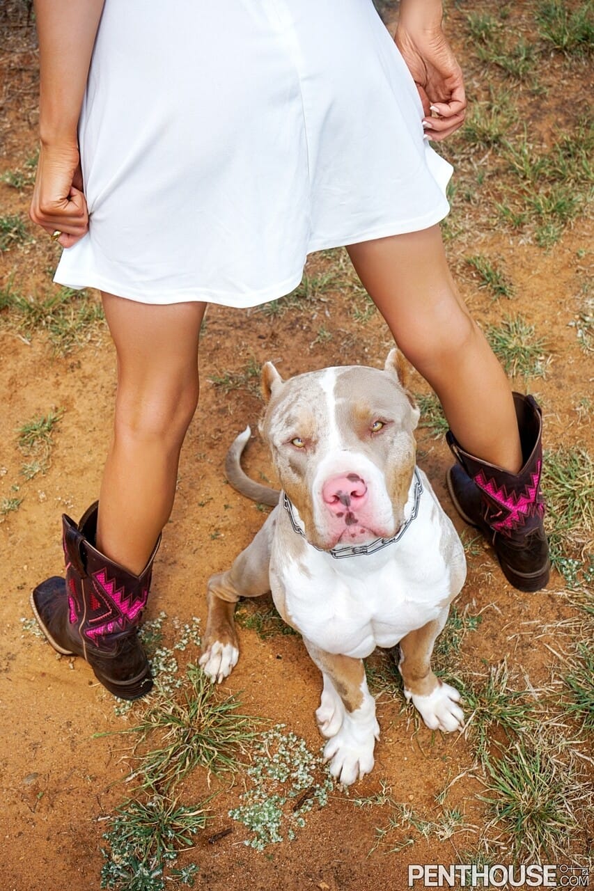 Penthouse Gold featuring Krystal Harper Hot Gallery, Krystal Harper - Perfect, Szabadban, Big Tits - 15. kép